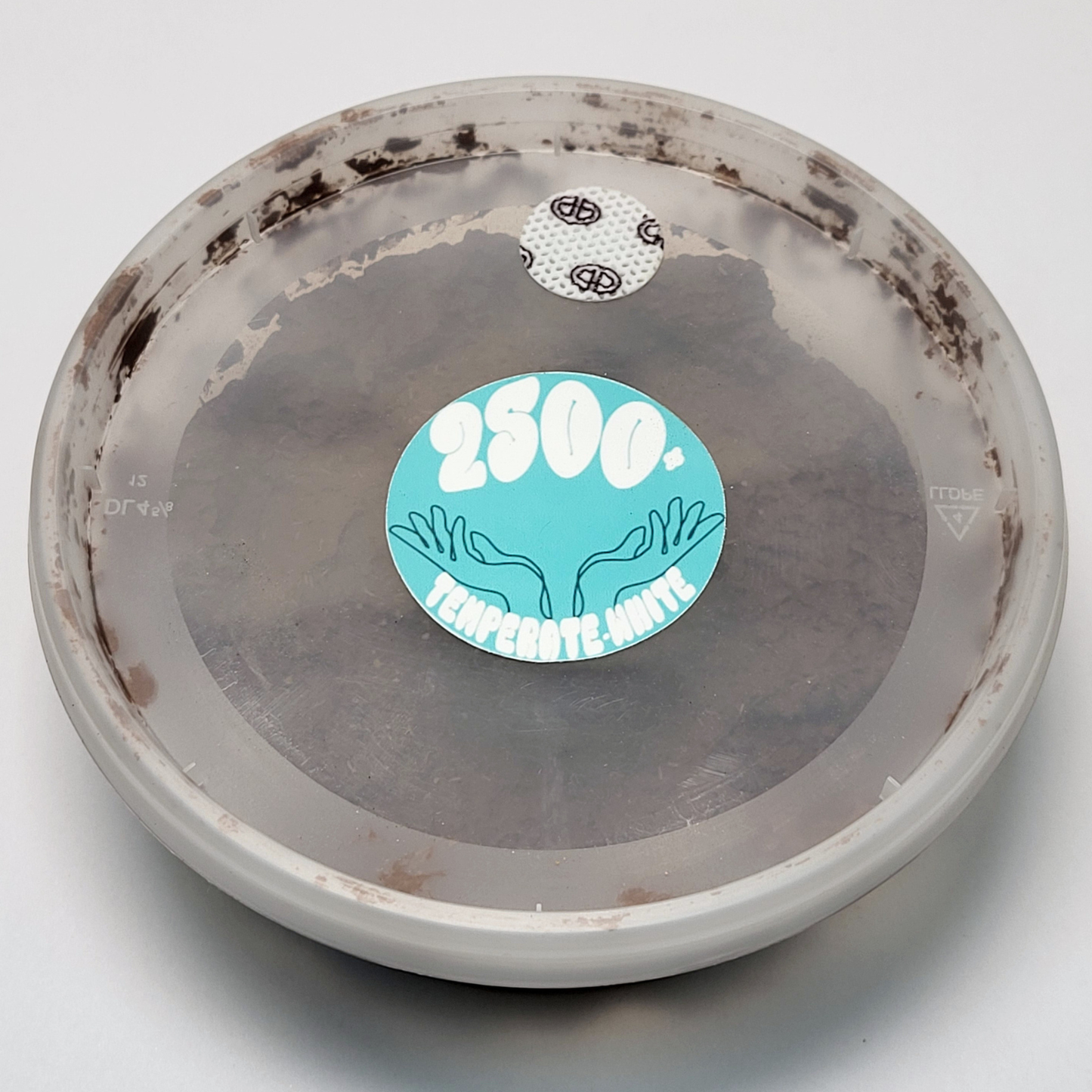 Springtail Ventilation Filters