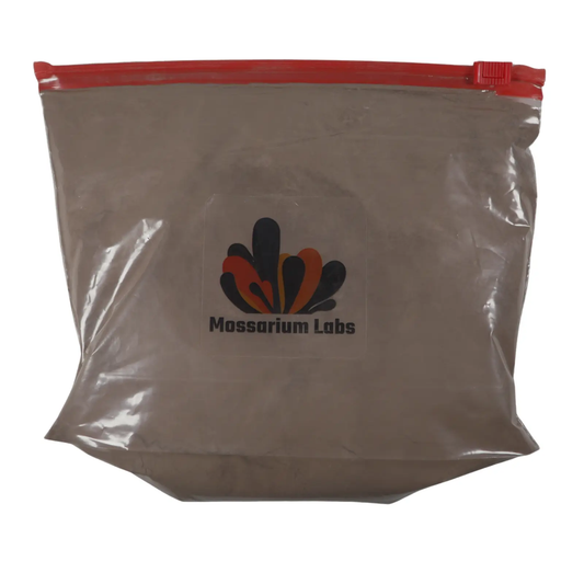 Springtail clay in a plastic bag